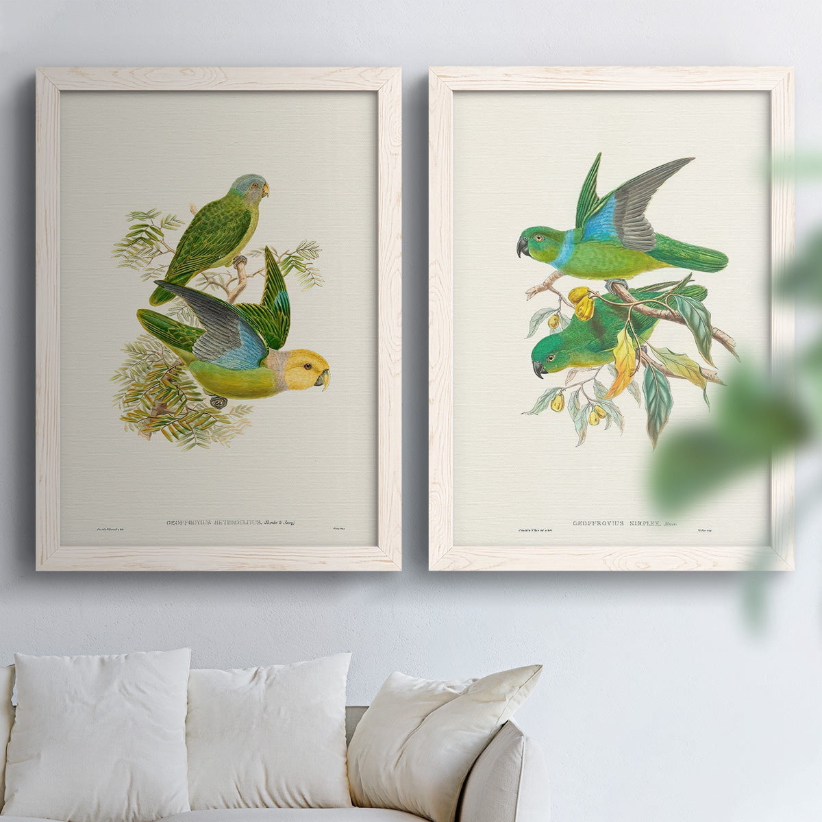 Lime & Cerulean Parrots I - Premium Framed Canvas 2 Piece Set - Ready to Hang