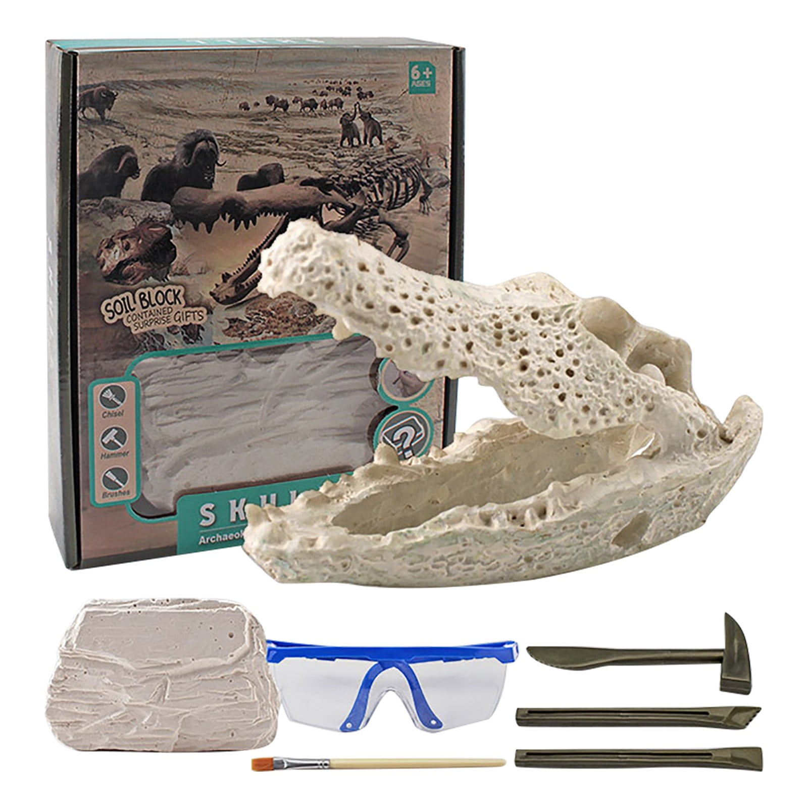 Toys Real Archaeological Excavation Dinosaur Skeleton DIY