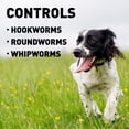 thumbnail image 6 of Interceptor Tablets, 26-50 lbs. for Dogs and 6.1-12 lbs. for Cats (Yellow), 6-Month Supply, 6 of 12