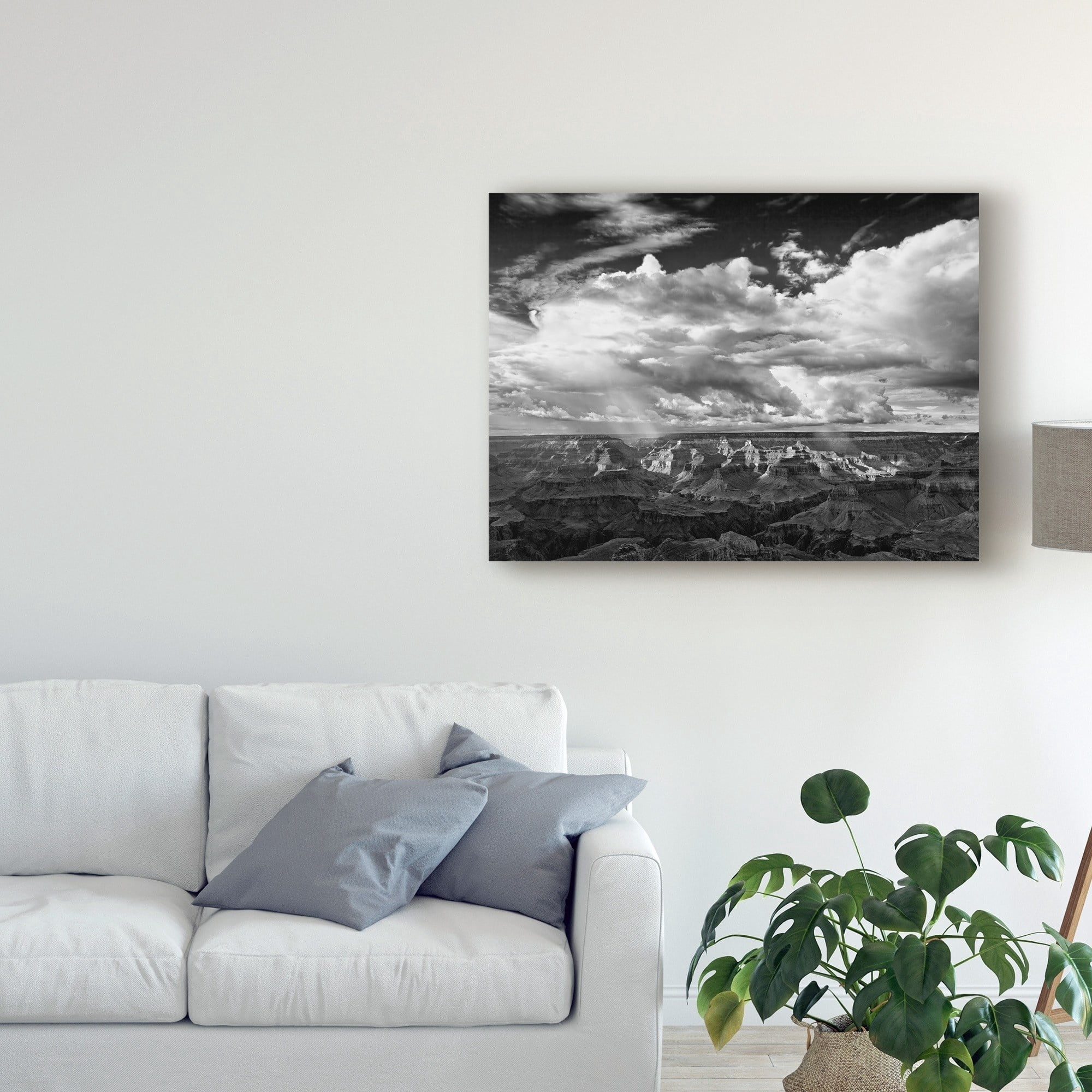 Trademark Fine Art 'Black And White Desert View IV' Canvas Art by David Drost