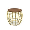 Wire End Table by Drew Barrymore Flower Home