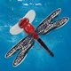 thumbnail image 4 of 6g 7,5 cm cebo Artificial Anti-viento Topwater Dragonfly cebo de pesca conjunto con gancho, 4 of 7