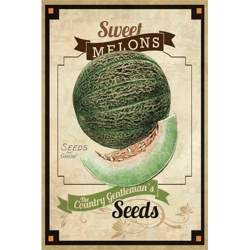 Marmont Hill "Seed Packet Melon" Painting Print on Canvas