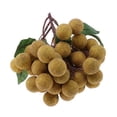 thumbnail image 1 of Frutas y verduras artificiales,Decoración realista de longan de frutas artificiales realistas.,Simulación realista falsa longan,Fruta artificial realista de simulación.,cocina, 1 of 8