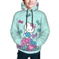 thumbnail image 4 of Hello Kitty Hoodie 3D Print Pullover Hooded Long Sleeve Sweatshirts Tops Blouse with Pocket for Boys Girls Small, 4 of 6