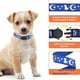 thumbnail image 5 of Collar de identificación para cachorros. Lindo collar para cachorros con estampado de cachorro. De nailon suave y dividido que brilla en la oscuridad., 5 of 5