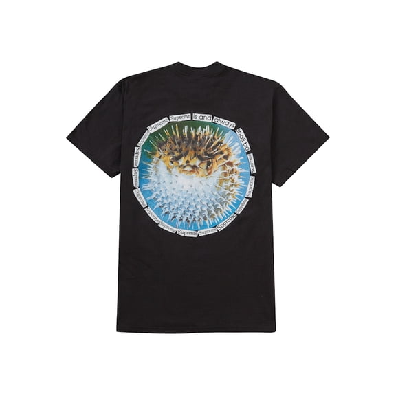 Supreme Men's Blowfish Tee Black, from StockX