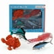 thumbnail image 2 of Set de figuras de animales marinos realistas de PVC con vida marina, 13 piezas, 2 of 2
