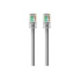 thumbnail image 1 of 20 Pi CAT6 Câble de Raccordement Sans Accrochage pour RJ45M & RJ45M&44; Gris, 1 of 1