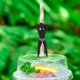 thumbnail image 3 of Yaju Bachelorette Party Decorations Naughty Straws Dancing Men Straws Disposable Glitter Confetti Straws For Beveage Coffee Smoothie Goldenrose Gold2, 3 of 5