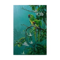 Trademark Fine Art 'Buffons Macaws' Canvas Art by Michael Jackson