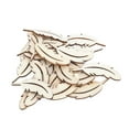 thumbnail image 1 of Wood Cutouts, Decoration Blank Craft Wood  For DIY Hand-made, 1 of 8