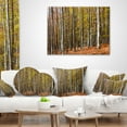thumbnail image 3 of Designart Bright Day in Thick Forest - Modern Forest Throw Pillow - 18x18, 3 of 4