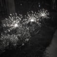 thumbnail image 3 of Eyfqtcs Luces Led Solares De Fuegos Artificiales Para Exteriores, Decoración Impermeable De Diente De León (Blanco Frío), 3 of 9