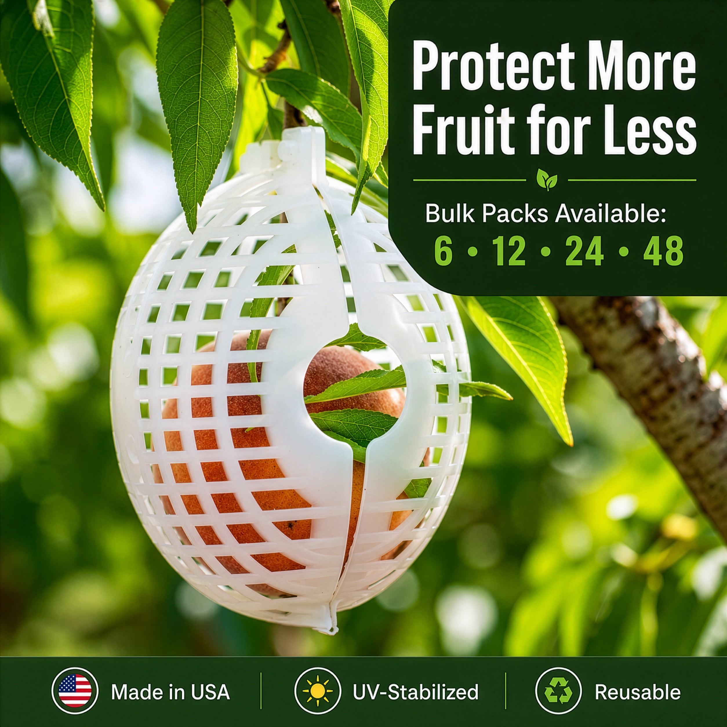 Rooted Promise 12 Pack Small Fruit Protection Cages 4 x 5 inch, Perfect for protecting fruit trees - Made in the USA