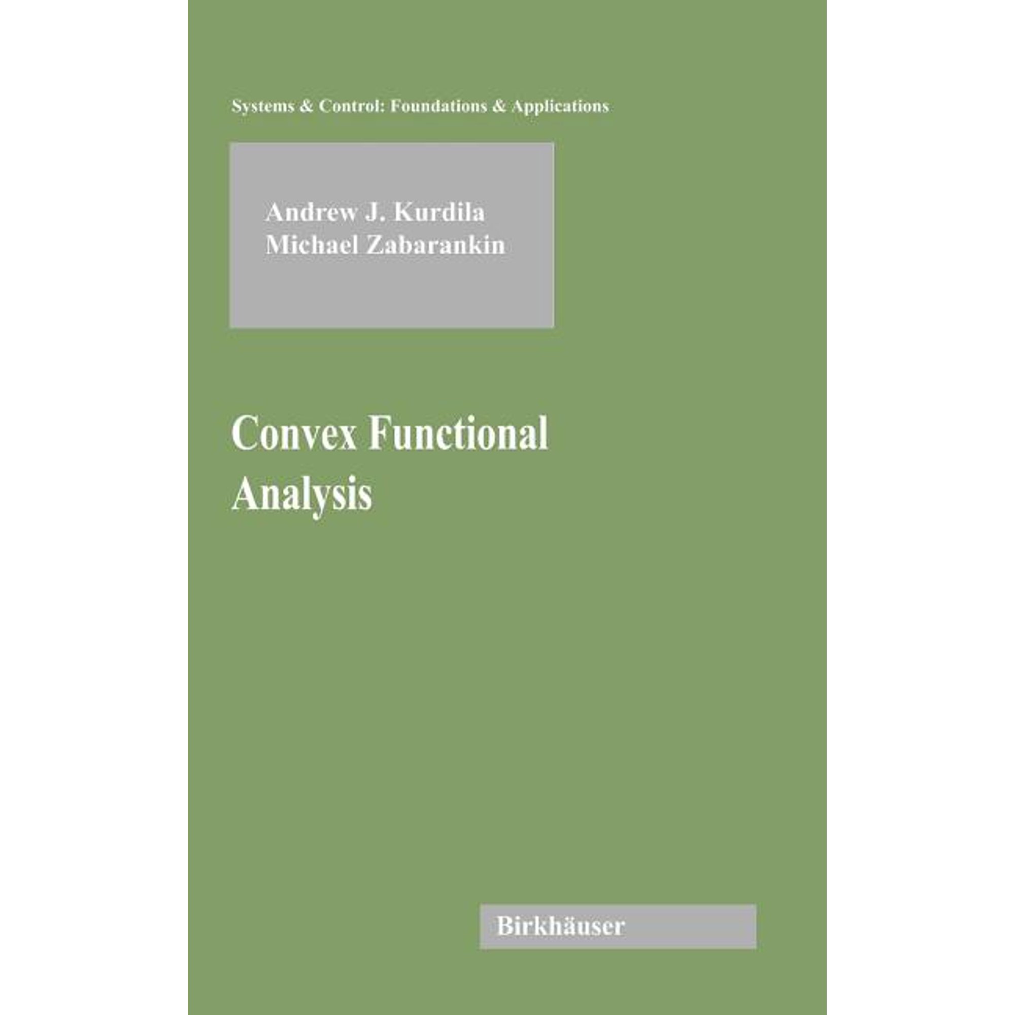 Systems & Control: Foundations & Applica Convex Functional Analysis (Hardcover)