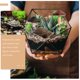 thumbnail image 2 of KAKOWELY 5 figuras de resina en miniatura de tortuga para decoración de tartas y jardín., 2 of 5
