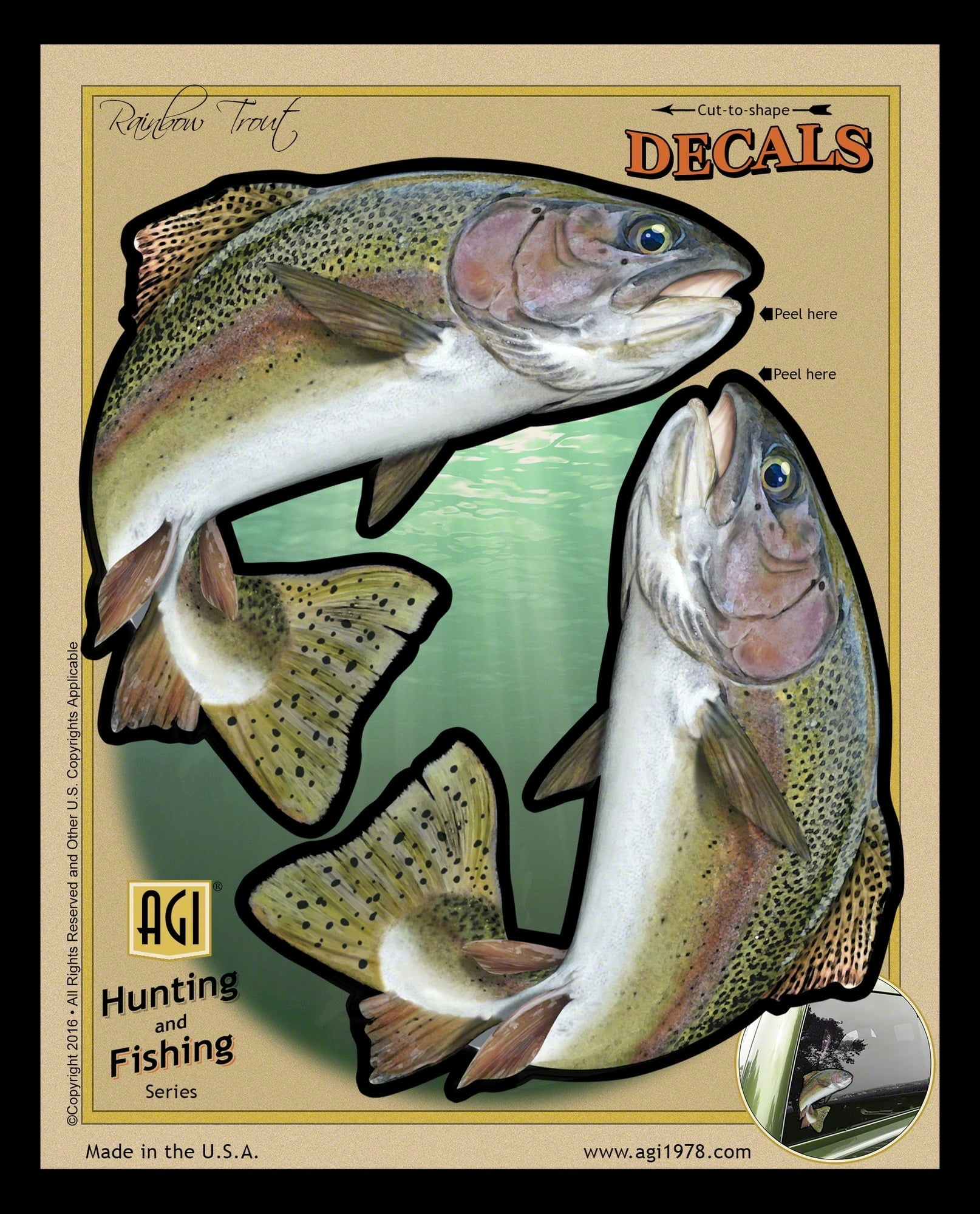Bones BOD2497 Decal Double Rainbow Trout