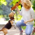 thumbnail image 4 of Durable Squeaky Chew Toy for Aggressive Chewers Interactive Design Dog Toy for All Size Indoor Outdoor Play, 4 of 5