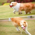 thumbnail image 3 of CHUANK Dog Training Ball with Rope  Dog Rope Toys Ball with Handle for Training Pull Throw Toy tug Toy Dogs Fetch Toys  2 Set Orange and Yellow, 3 of 6