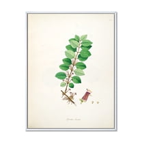 Designart 'Ancient Plant Life XVII' Farmhouse Framed Canvas Wall Art Print