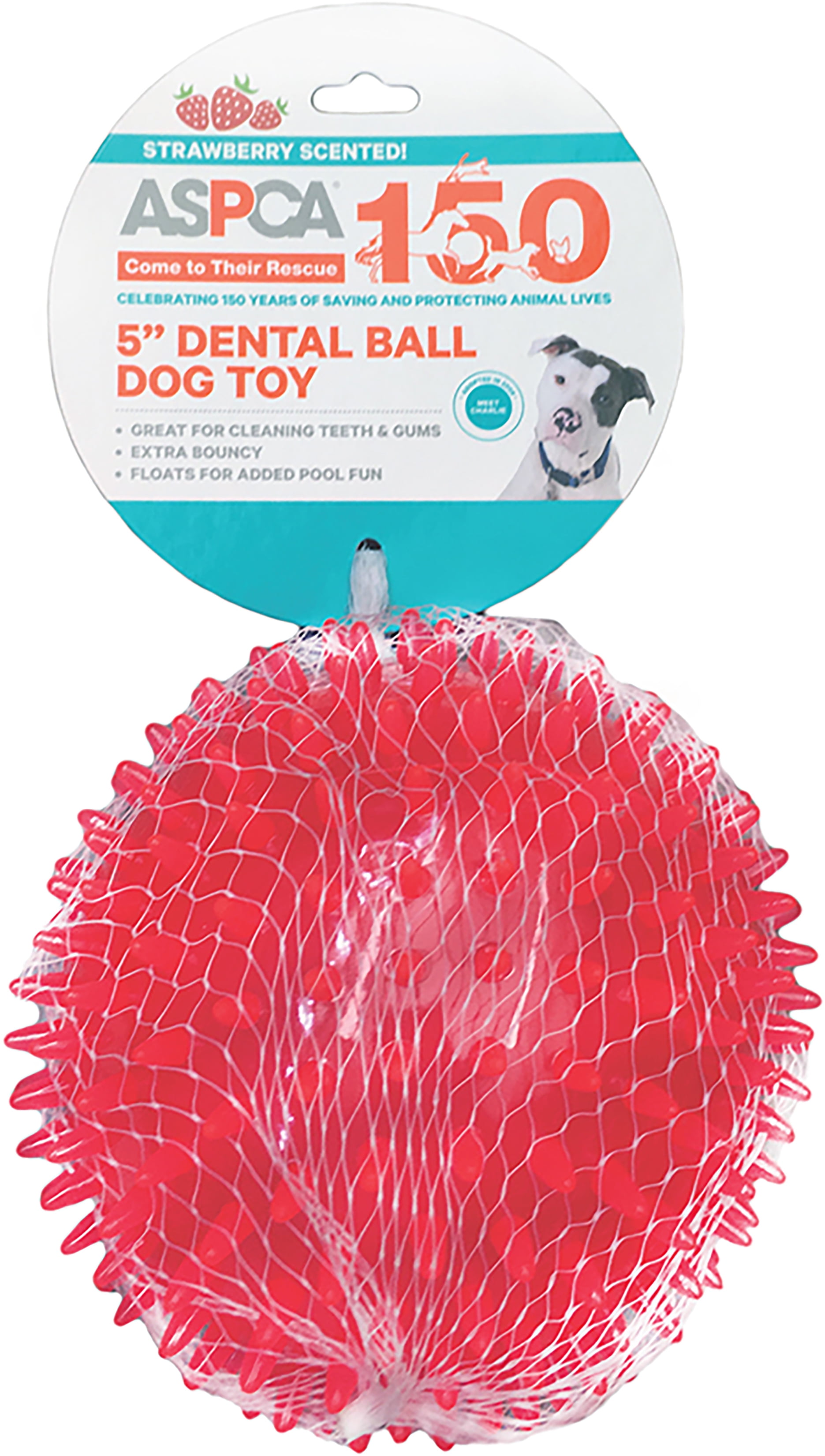 Aspca 5" Dental Ball Dog ToyPink Walmart Canada