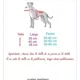 thumbnail image 3 of Sueter Peluche Con Borrega Para Perro Mediano (t- 4,5 O 6), 3 of 4