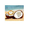 thumbnail image 3 of Malie Organics - Brillante para el cuerpo, Coconut Vanilla, 0.3 lb. Malie NA, 3 of 3