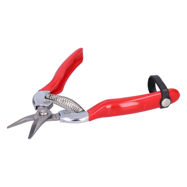 Tijeras para recoger frutas y flores Tijeras para podar ramas de flores y poda de jardinería