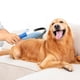 thumbnail image 5 of Brocha de afeitar de pelo de mascota para perros y gatos | Mango ergonómico antideslizante | Peine de mano para el aseo de mascotas | Herramienta fácil de depilación y limpieza | 1 paquete |, 5 of 6