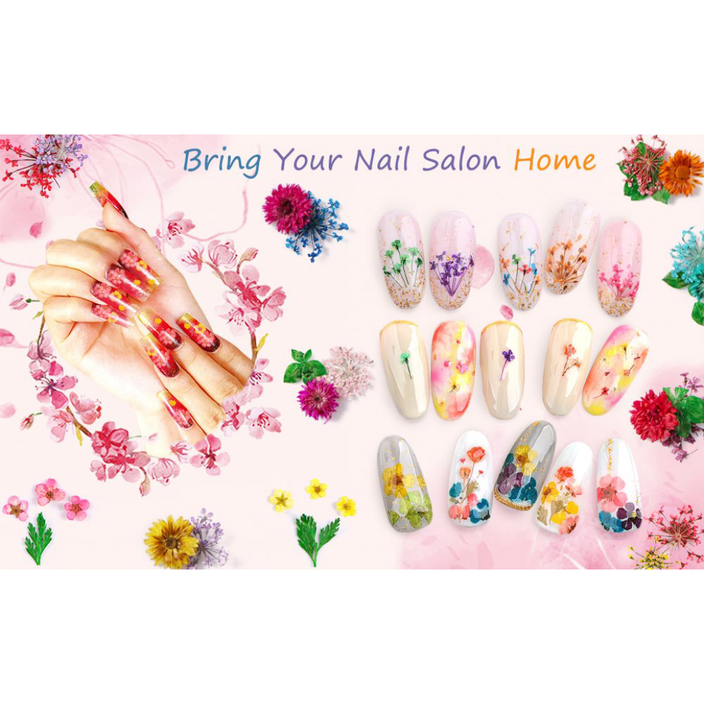 2 Boxes Dried Flowers for Nail Art, 24 Colors Dry Flowers Mini Real Natural Flowers  Nail Art Supplies 3D Applique Nail Decoration Sticker for Tips Manicure  Decor (Gypsophila Flowers Leaves) - Walmart.com
