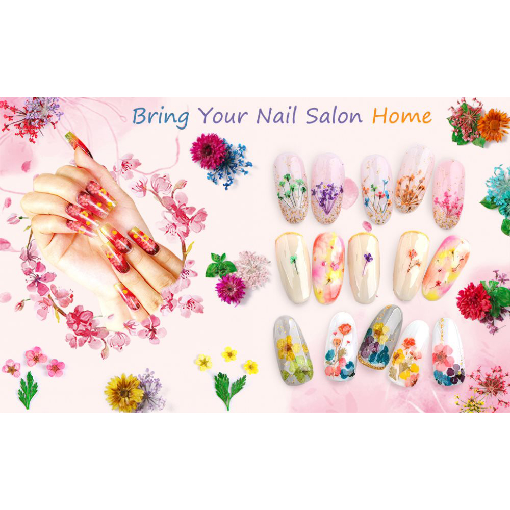 2 Boxes Dried Flowers for Nail Art, 24 Colors Dry Flowers Mini Real Natural Flowers Nail Art Supplies 3D Applique Nail Decoration Sticker for Tips Manicure Decor (Gypsophila Flowers Leaves) - Walmart.com 2 Boxes Dried Flowers for Nail Art, 24 Colors Dry Flowers Mini Real Natural Flowers Nail Art Supplies 3D Applique Nail Decoration Sticker for Tips Manicure Decor (Gypsophila Flowers Leaves) - Walmart.com