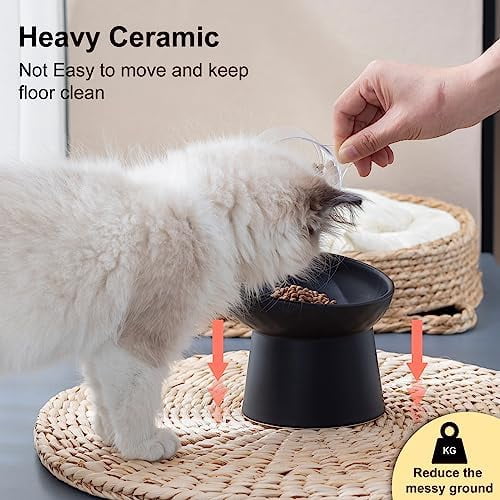 Ceramic Raised Cat Bowls, Elevated Tilted Cat Food and Water Bowls Set, Stress Free Pet Feeding Dish for Indoor Cats and Small Dogs, Anti Vomiting, Black, 2 Pack
