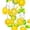 D Black, variant on Lemon Slice Led String Lights 9.8 Feet 20 Lights Battery Operated Indoor Fairy Lights for Bedroom Summer Home Party Decor