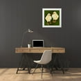 thumbnail image 3 of Popp, Grace 20x20 White Modern Wood Framed Museum Art Print Titled - Yard Bird III, 3 of 4