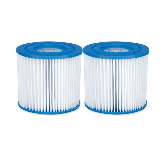 Summer Waves Type D Pool Filter Cartridges, Pool Accessory, 2-Pack, Adults, Unisex