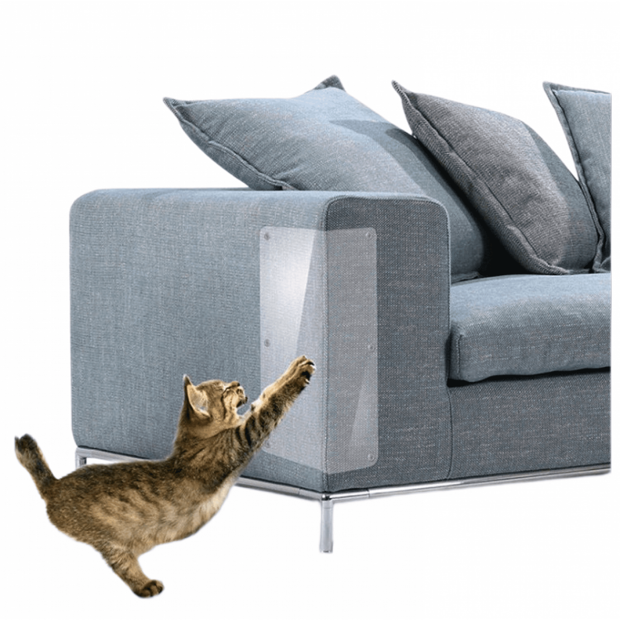 Cat couch deterrent 2025