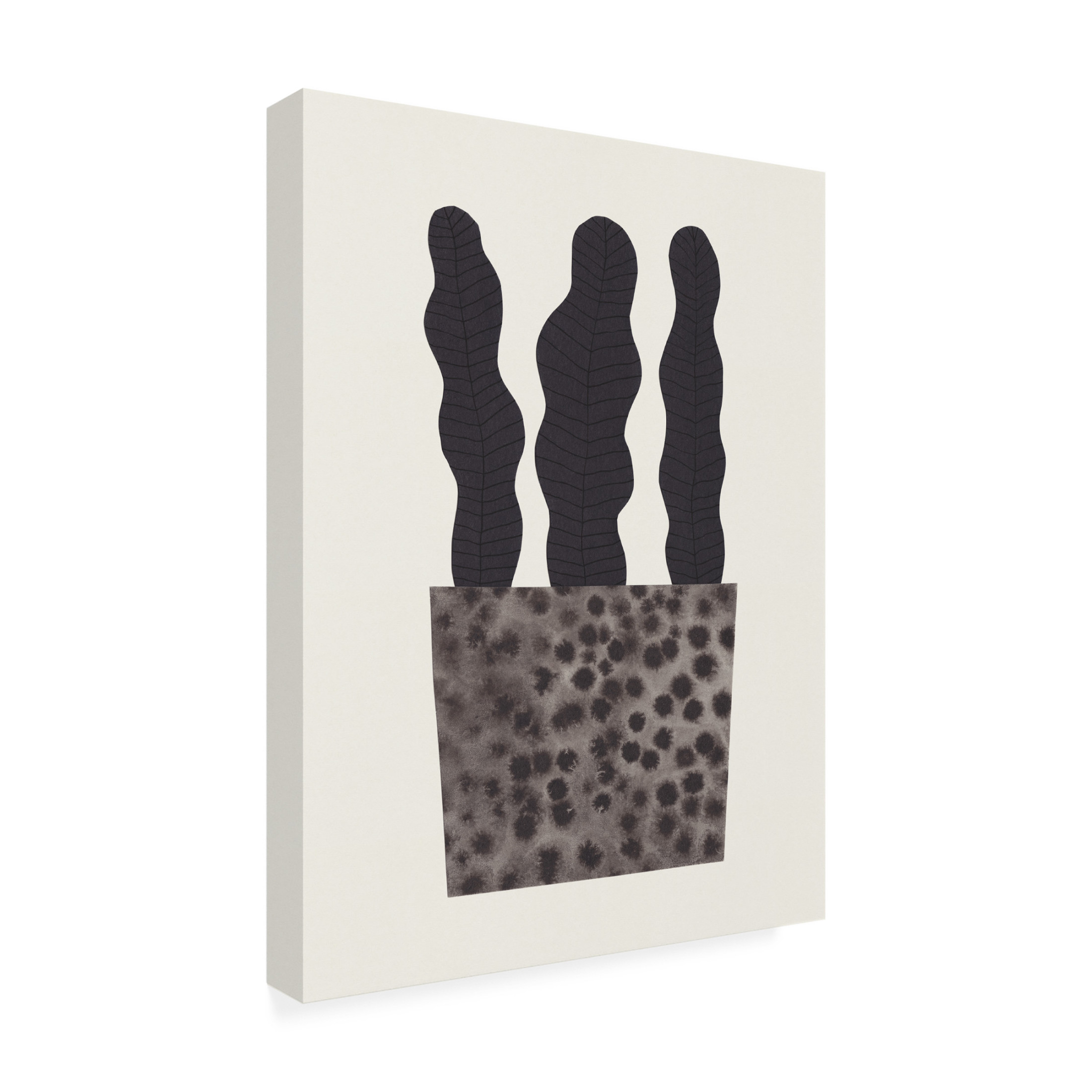 Trademark Fine Art Alisa Galitsyna Plant in a pot 2 Canvas Wall Art