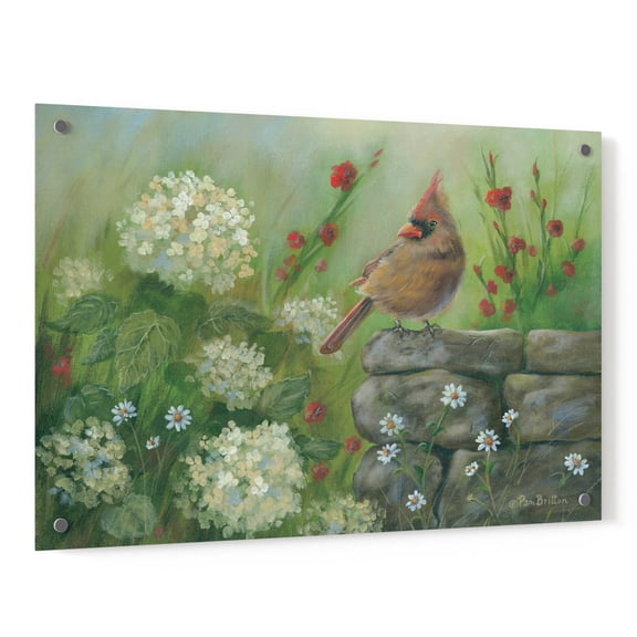 Epic Art 'Cardinal & Hydrangeas' by Pam Britton, Acrylic Glass Wall Art, 36"x24"