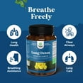 thumbnail image 4 of Lung Detox Mullein Leaf Capsules - Purifying Mullein Leaf Herb Lung Cleanse Complex with NAC Quercetin & Cordyceps Extracts - for Sinus Immunity & Breathing Support, 4 of 9