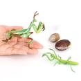 thumbnail image 3 of Juguetes Educativos de Aprendizaje Sunnimix Juego de crecimiento de insectos para niños, 3 of 8