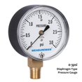 thumbnail image 3 of MEASUREMAN Tipo diafragma Cápsula Medidor de baja presión 3psi 2-1/2" Dial 1/4"NPT Montaje inferior ajustable 0-3Psi, 3 of 5