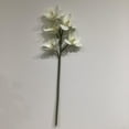 thumbnail image 1 of 24" CYMBIDIUM ORCHID SPRAY, 1 of 3