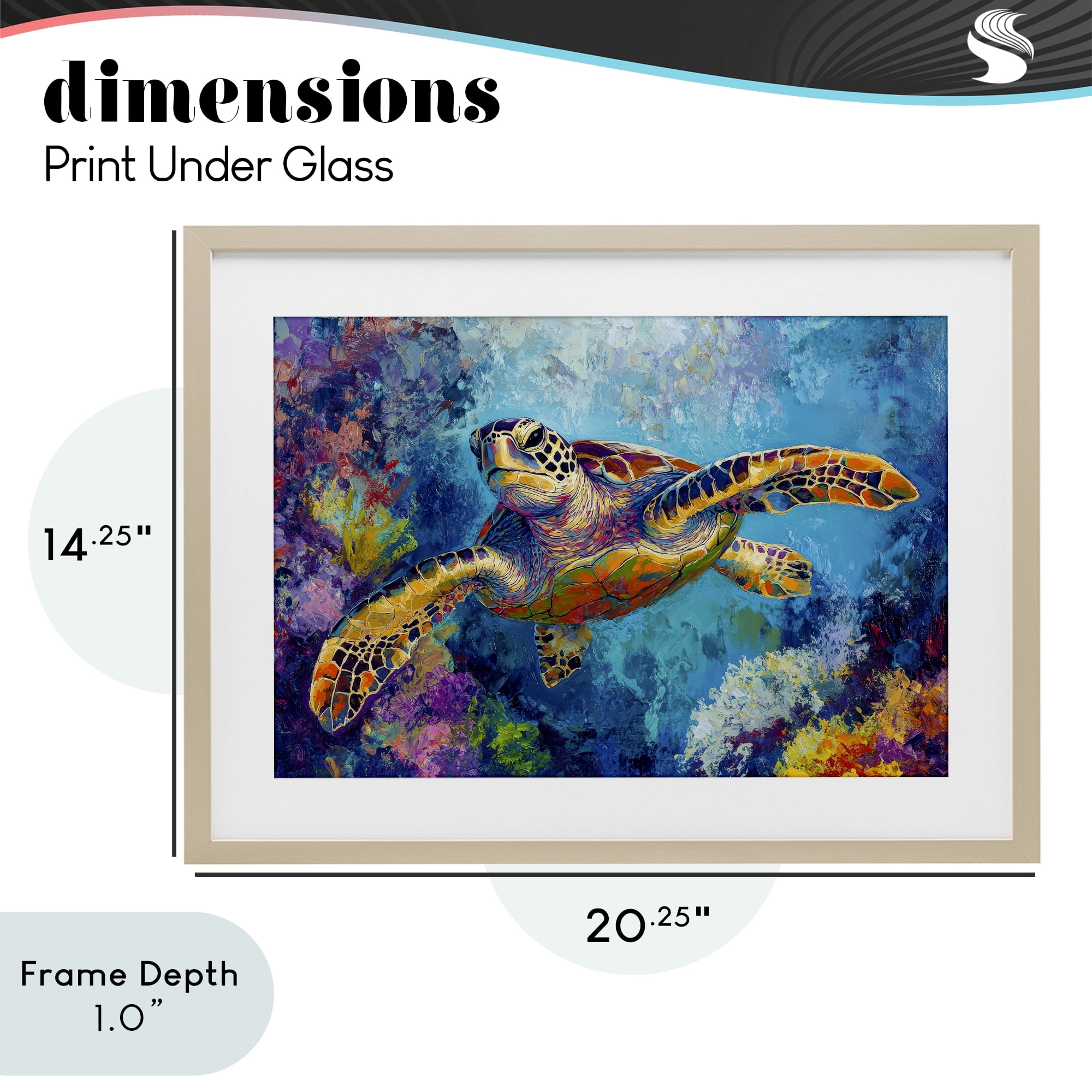 Stupell Industries Colorful Sea Turtle over Coral Birch Framed Print Under Glass, design by Petal Prints Design