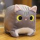 thumbnail image 1 of Muñeco de peluche de gato cuadrado animal, 1 of 4