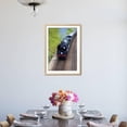 thumbnail image 4 of Steam Train on Bluebell Railway, Horsted Keynes, West Sussex, England, United Kingdom, Europe, Transportation Framed Art Print Wall Art by Neil Farrin Sold by Art.Com, 4 of 6