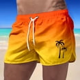 thumbnail image 1 of Short de Planche pour Homme / Short d'Été Sportif de Plage Décontracté de Voyage en Polyester à Imprimé Dégradé, 1 of 3
