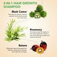 thumbnail image 2 of Aliver 3-in-1 Hair Shampoo with Rosemary + Black Castor + Batana Oil-Nourishing Scalp Hair Shampoo for all Hair Types-10.56 fl.oz, 2 of 9