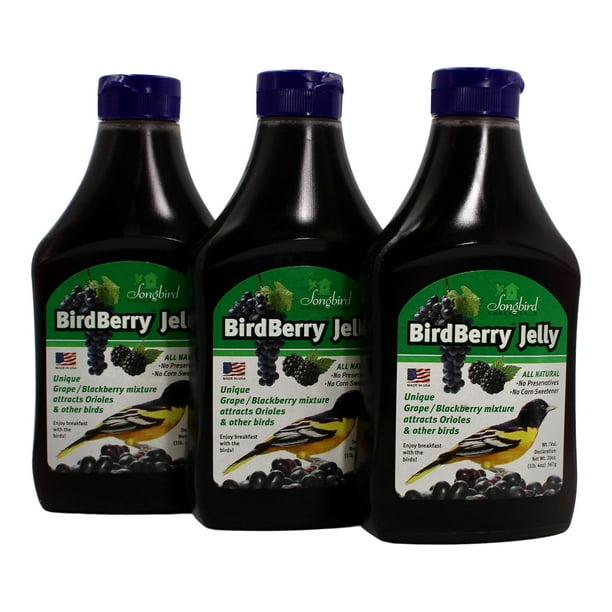 Songbird Essentials Grape Jelly for Bird Feeders Birdberry Jelly 20 Oz