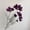 Dark Purple, variant on 18 Colors Fake Cosmos Galsang Flowers, Artificial Silk Wildflowers with Long Stems, No Maintenance Faux Flowers for Wedding Bouquet Table Centerpiece Home Decor -Dark Purple